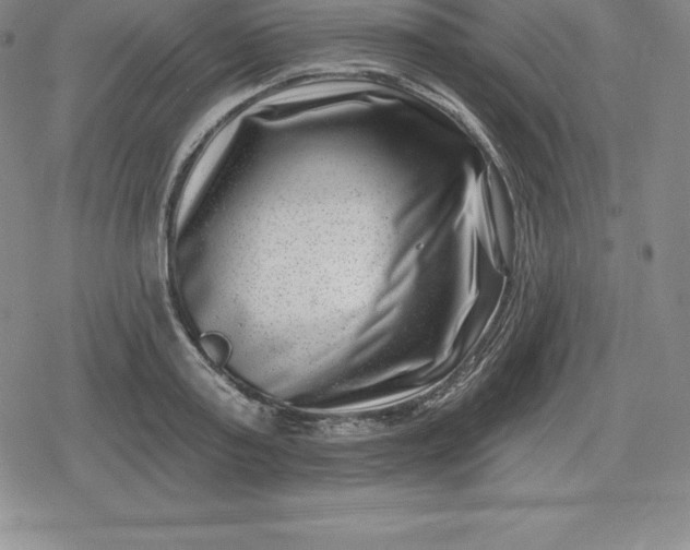 X0000080200795200612221404