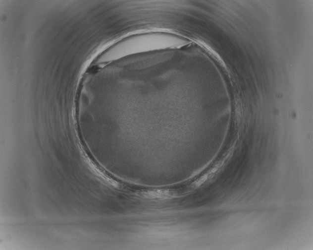 X0000080200797200612221404