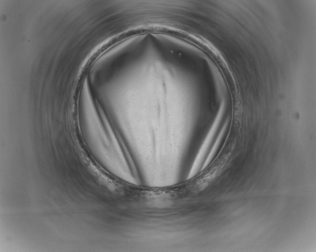 X0000080200799200612221404