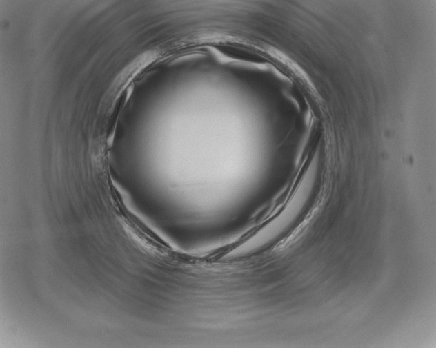 X0000080200801200612221404