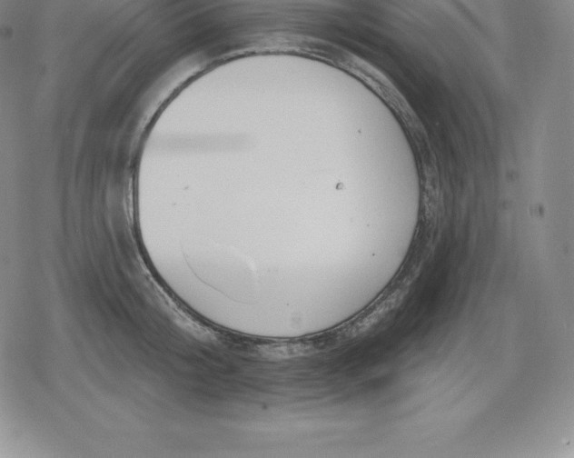 X0000080200804200612221404