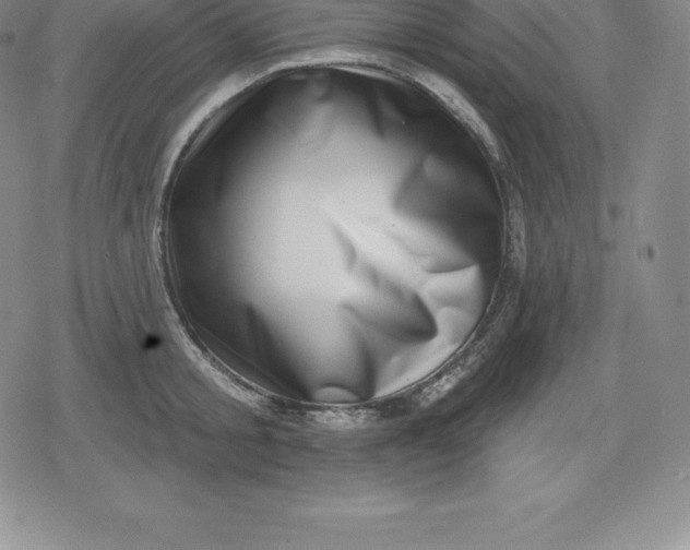 X0000080200805200612221404