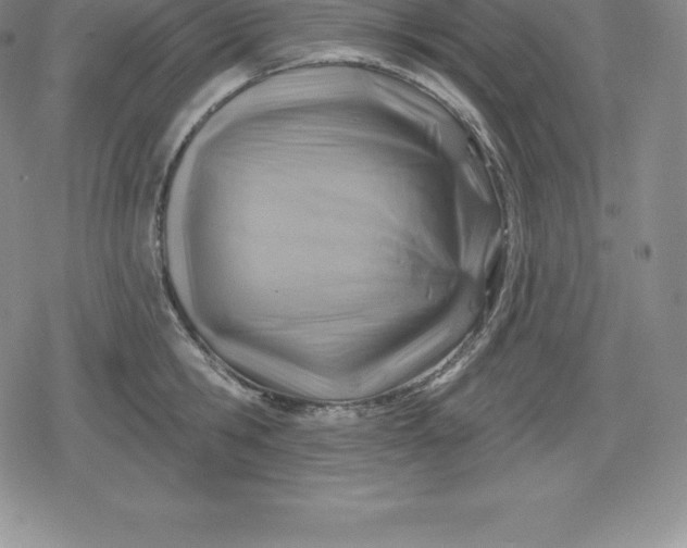 X0000080200806200612221404