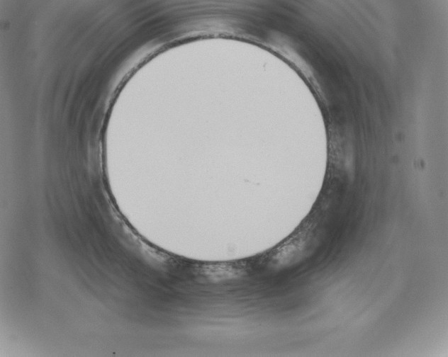 X0000080200807200612221404