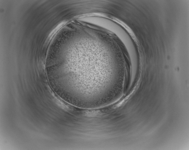 X0000080200809200612221404