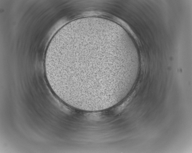 X0000080200810200612221404