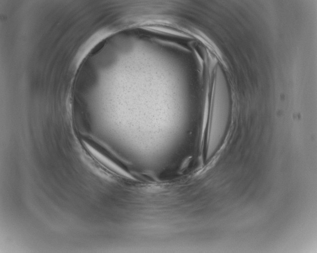 X0000080200814200612221404