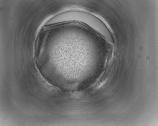 X0000080200815200612221404