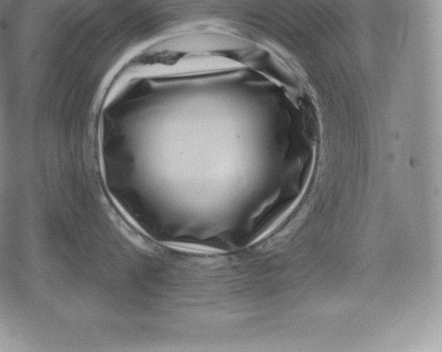 X0000080200816200612221404