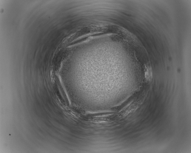 X0000080200819200612221403