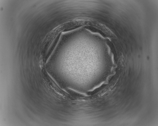 X0000080200821200612221403