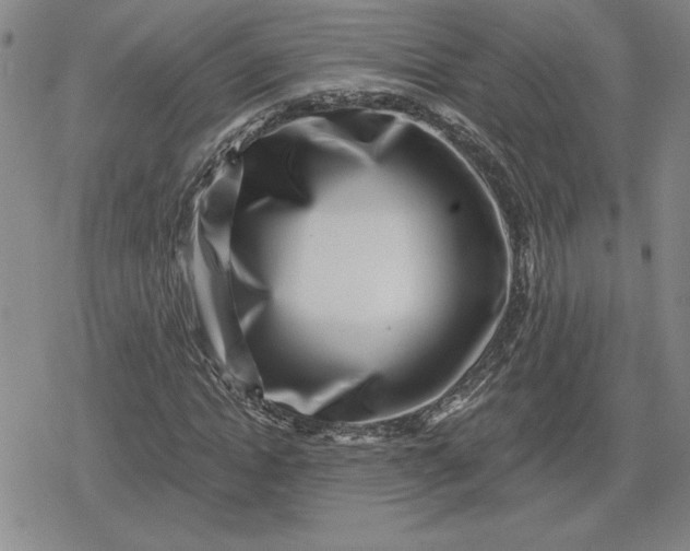 X0000080200822200612221403