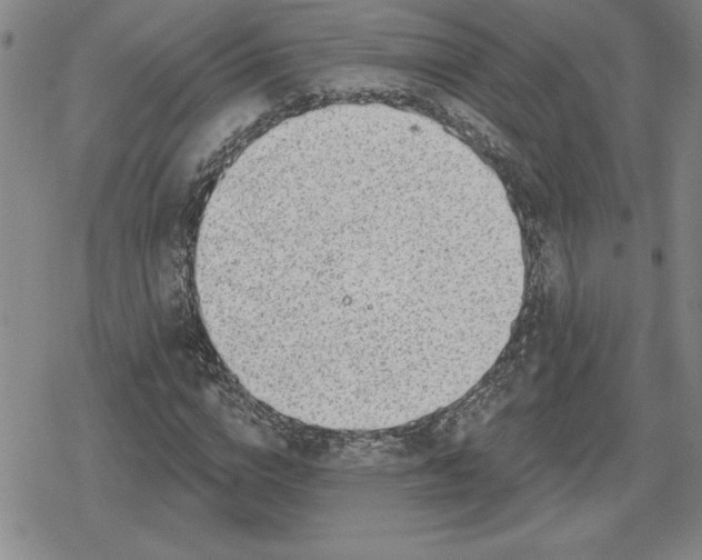 X0000080200824200612221403