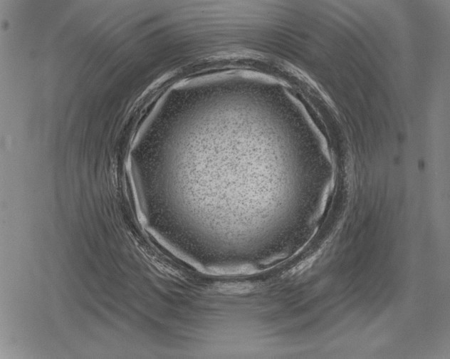 X0000080200825200612221403