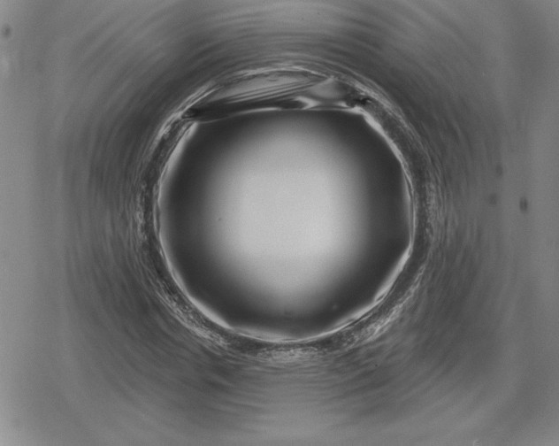 X0000080200826200612221403