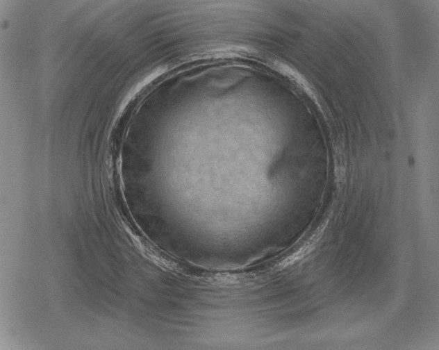 X0000080200827200612221403