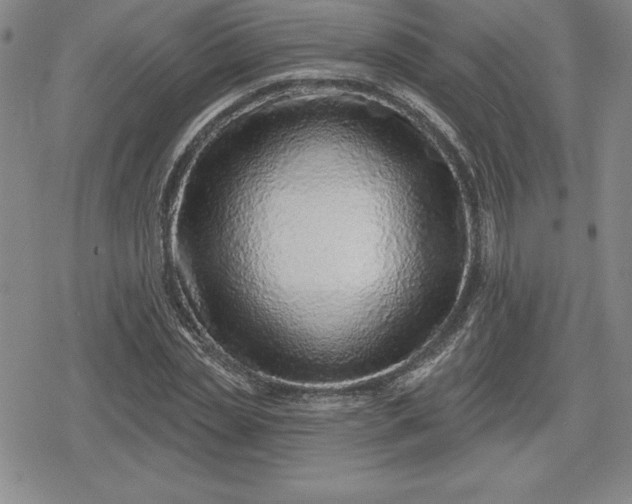 X0000080200829200612221403