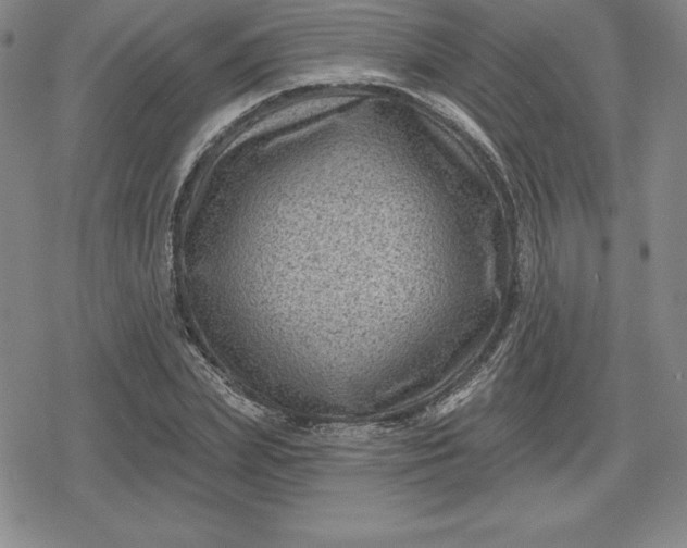 X0000080200831200612221403