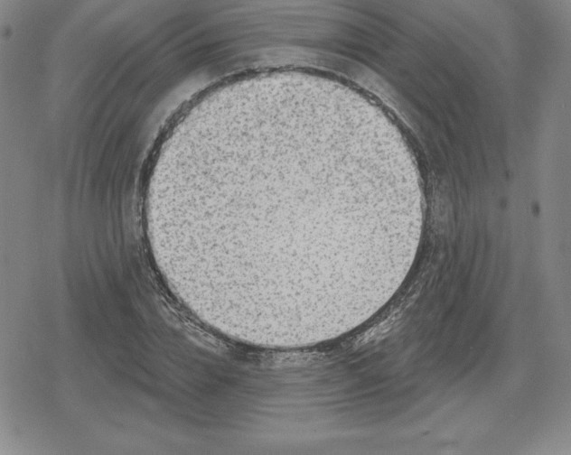 X0000080200832200612221403