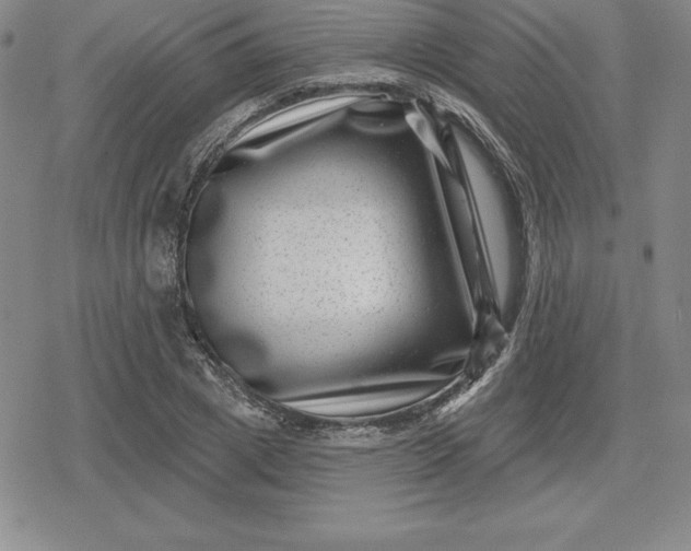 X0000080200833200612221403