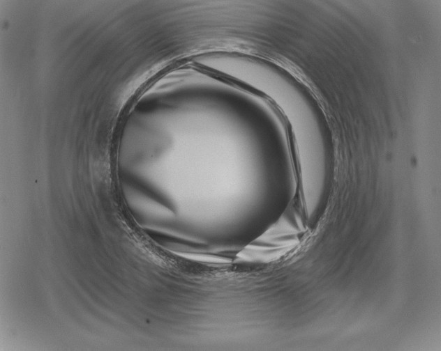 X0000080200834200612221403