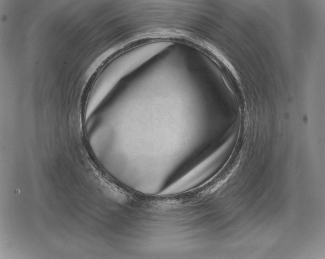 X0000080200837200612221403