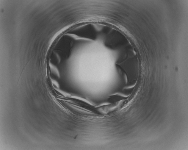 X0000080200838200612221403