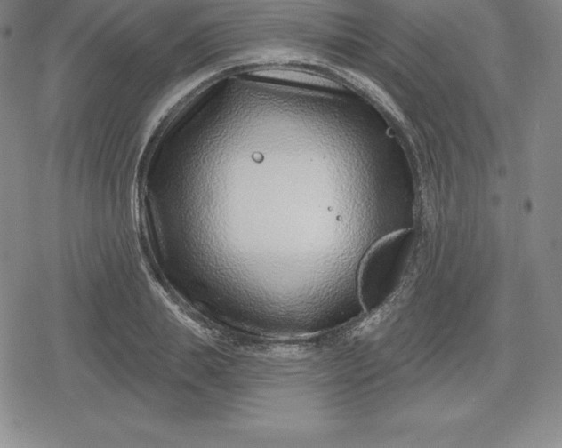 X0000080200839200612221403