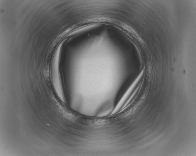 X0000080200841200612221403