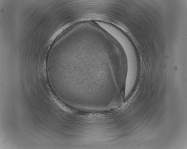 X0000080200842200612221403