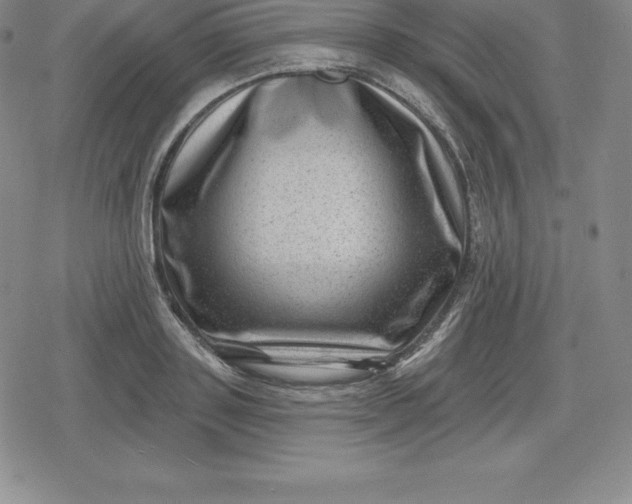 X0000080200843200612221403