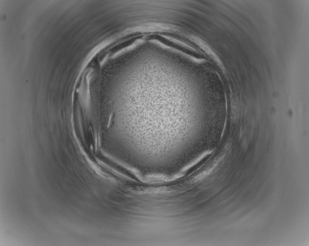 X0000080200845200612221403