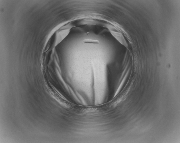 X0000080200846200612221403