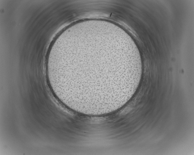 X0000080200848200612221403