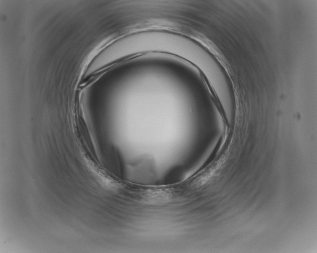 X0000080200850200612221404