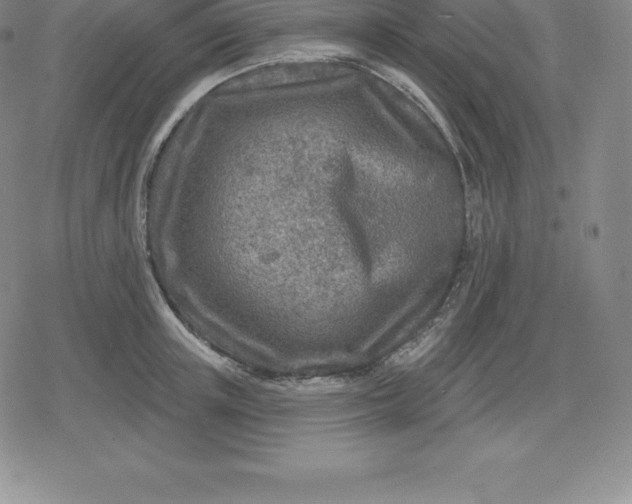 X0000080200851200612221404