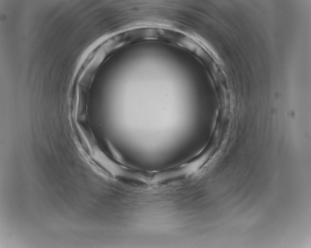 X0000080200854200612221404