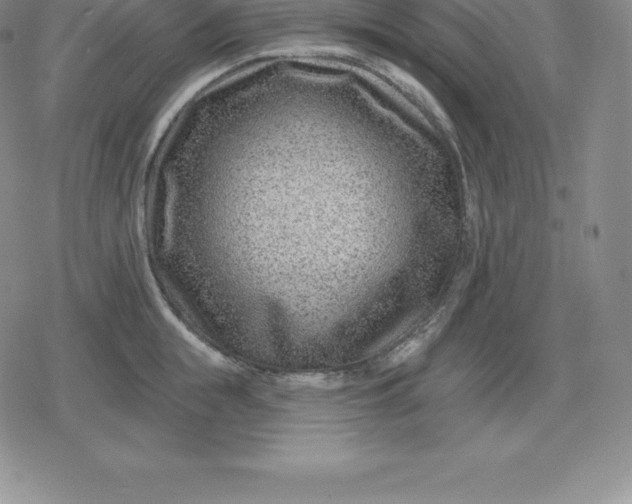 X0000080200855200612221404