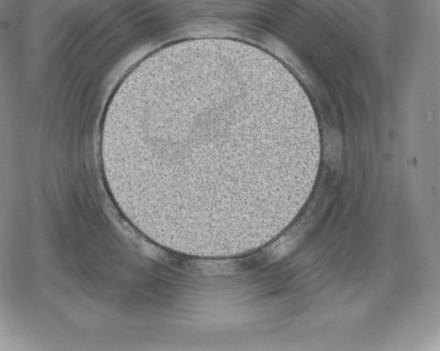 X0000080200856200612221404