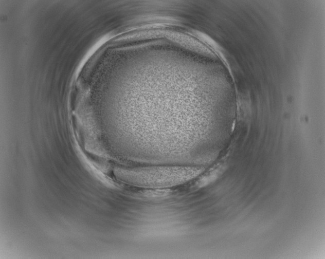 X0000080200859200612221404