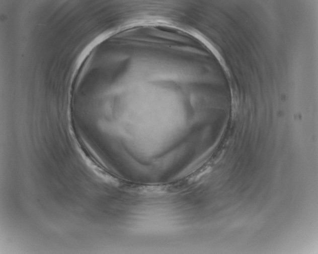 X0000080200861200612221404