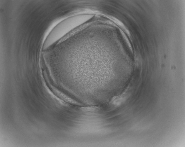 X0000080200863200612221404