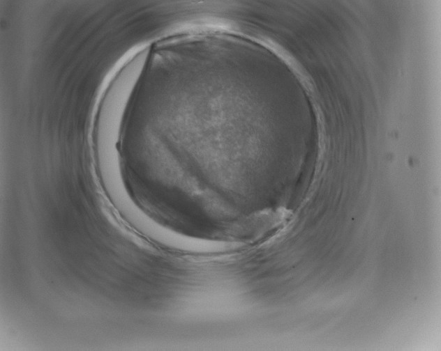 X0000080200864200612221404