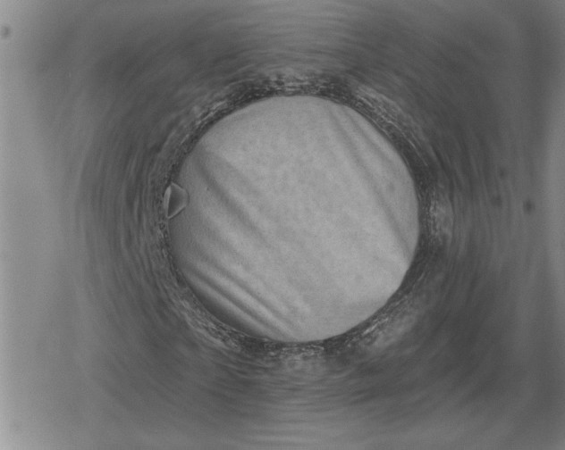 X0000080200865200612221403