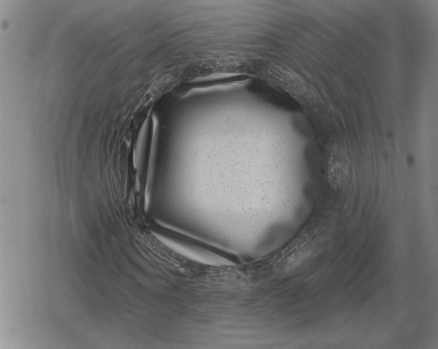 X0000080200866200612221403