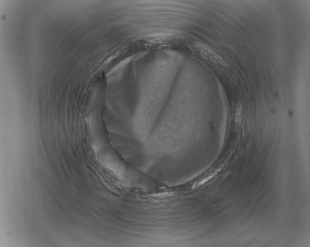 X0000080200868200612221403