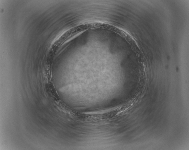 X0000080200871200612221403