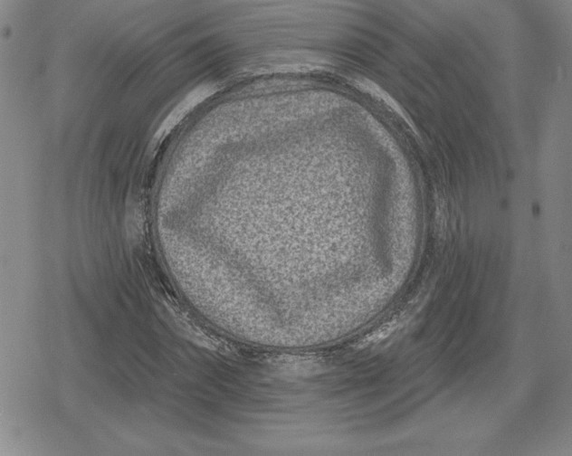 X0000080200874200612221403