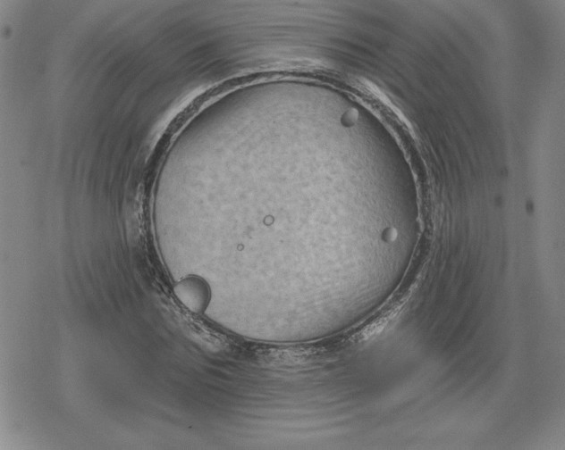 X0000080200875200612221403