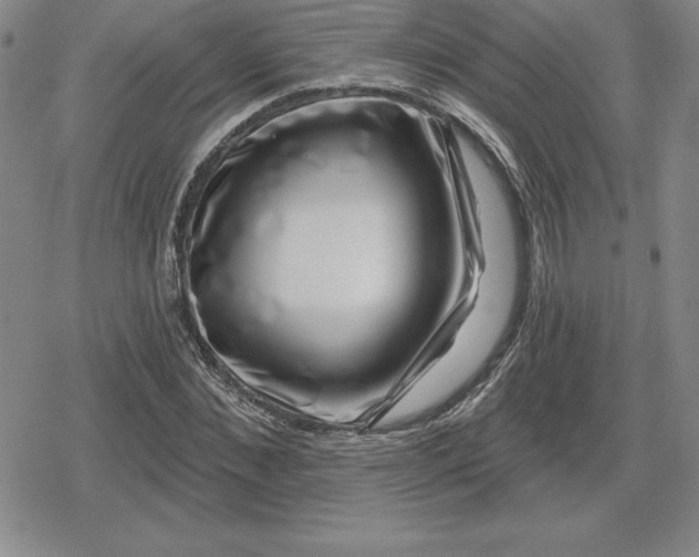 X0000080200876200612221403